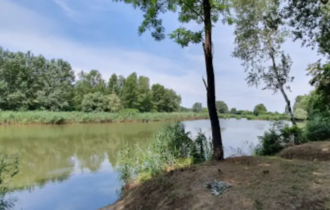 Csépai bojlis pálya