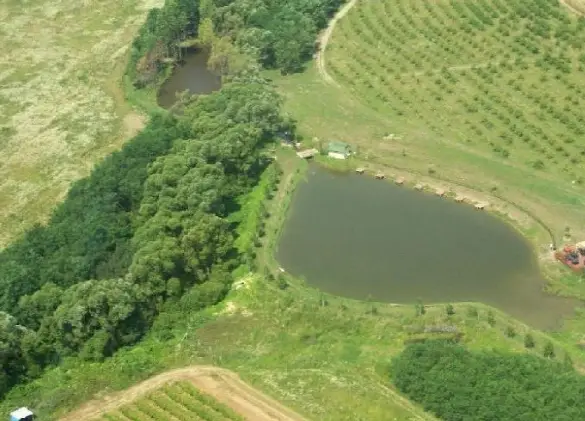 Csigahegyi Horgásztó