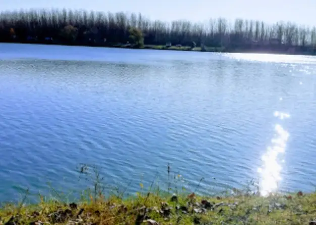 Délpesti Horgászegyesület horgásztava