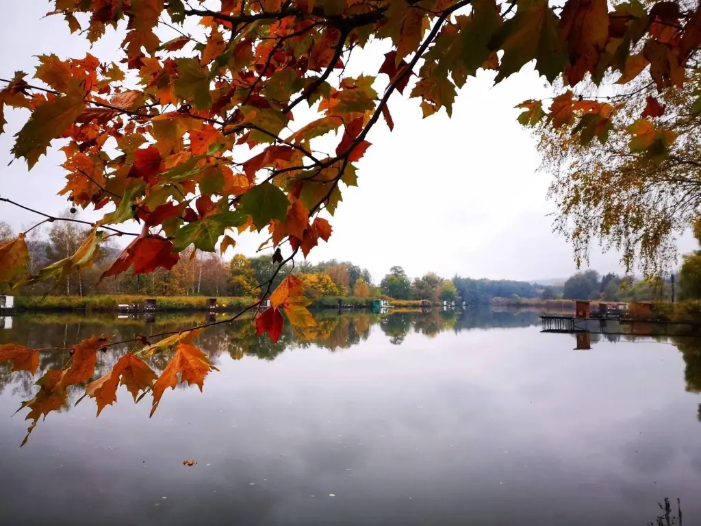 Domonyvölgyi-II. horgásztó