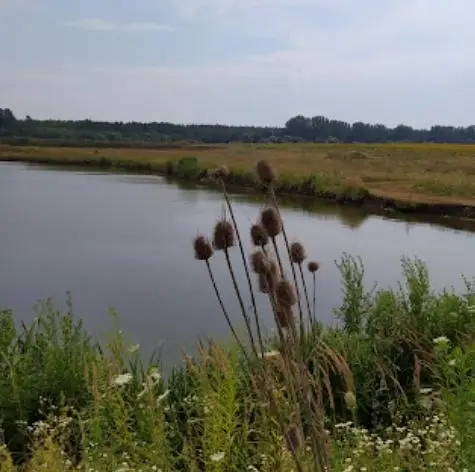 Érsekvadkerti Derék-pataki tározó