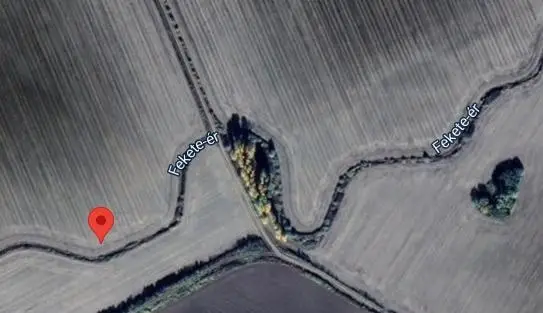 Fekete-ér (Herpenyő-ág)