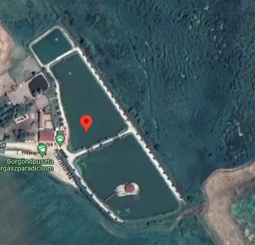 Fertőzugi Horgásztavak