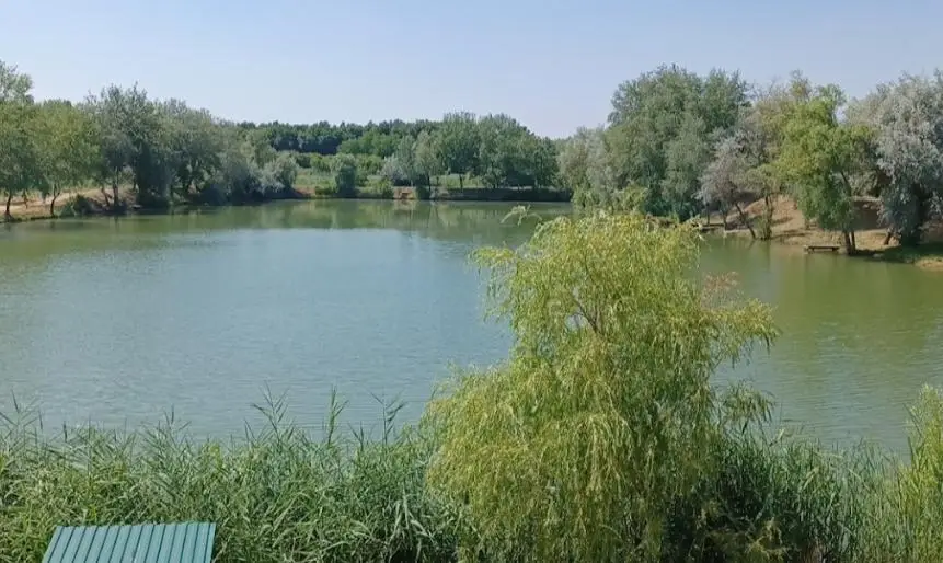 Füzesgyarmati téglagyári tavak