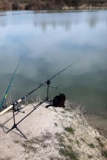 Gerecz Elemér Horgász-tó