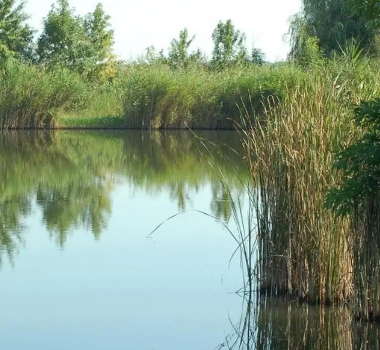 Hajdúszováti víztározó