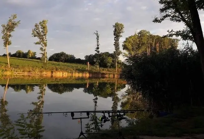 Halbázis horgásztó