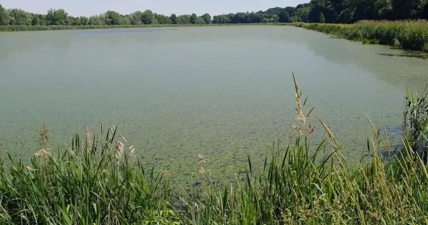 Himfai Környezetvédelmi-tó