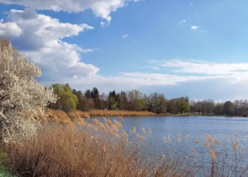 Ivacsi-tó (Haldorádó / Veresegyház Ivacsi Horgásztó)