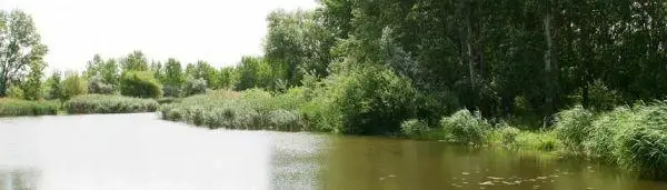 Kiskunsági Öntöző-főcsatorna