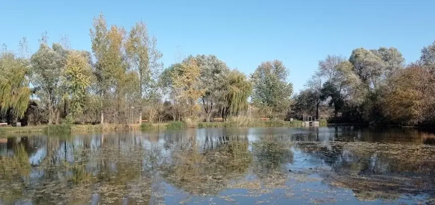 Magdolna horgásztó