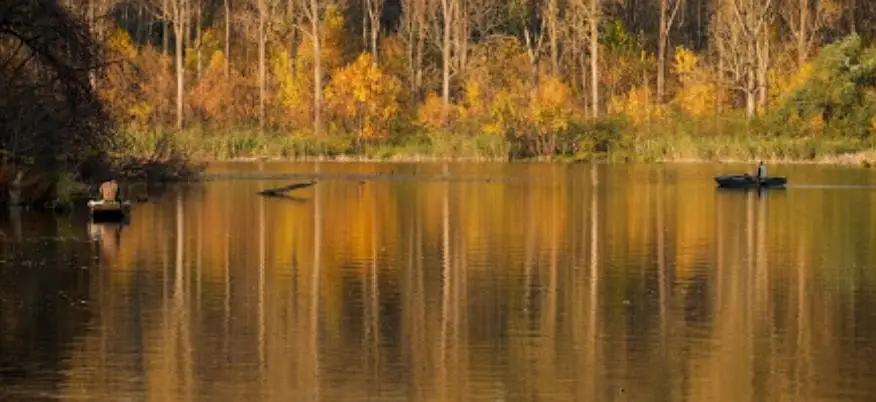 Mártélyi Holt-Tisza
