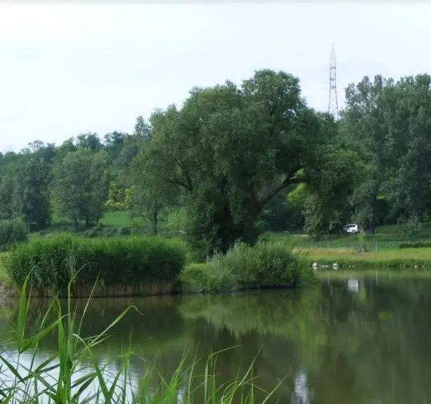 Tabajdi János horgásztó