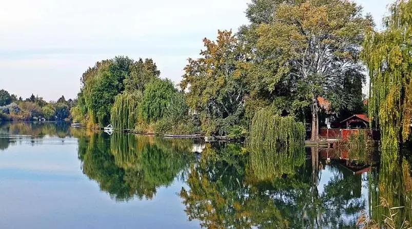 Patkányospusztai tó