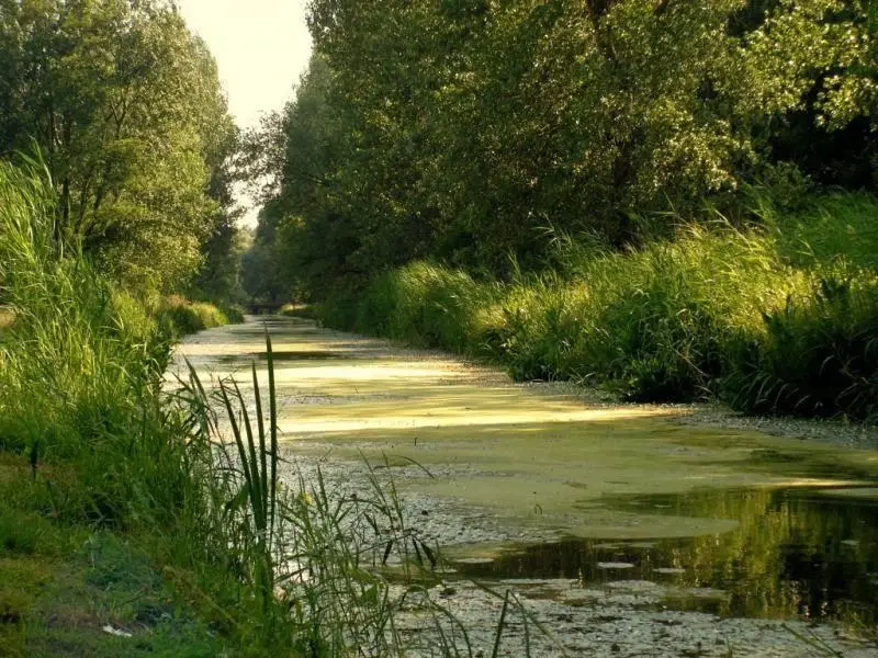 Zámolyi főcsatorna