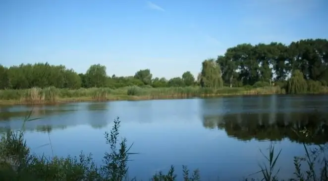 Merseváti-tőzegbányató