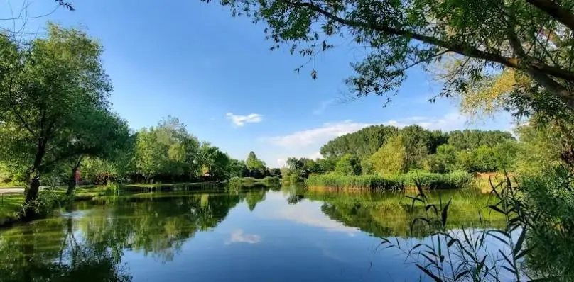 Szeged-utcai (SZUSZ) horgásztó