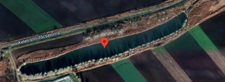 Agroferm hűtőtó, Kaba