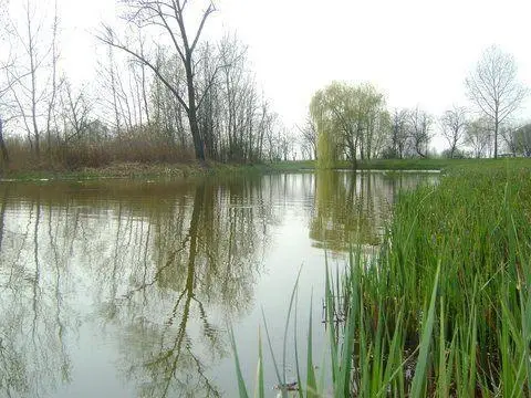 Zúgóteknő-Zagyva holtág