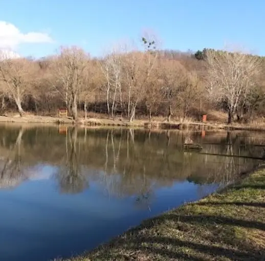 Móri Látóhegyi tavak