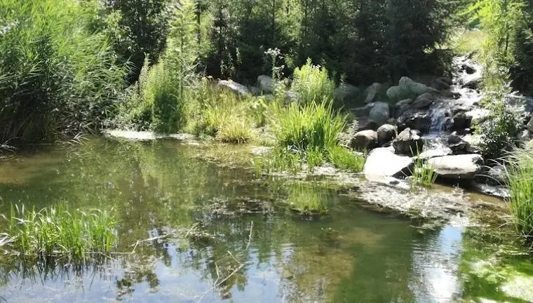 Morotva-tó (Lipót)