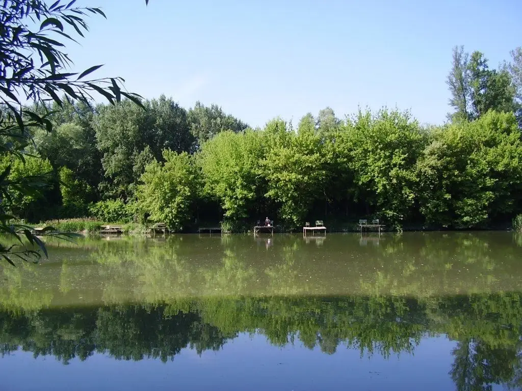 Buki sziget Duna Holtág