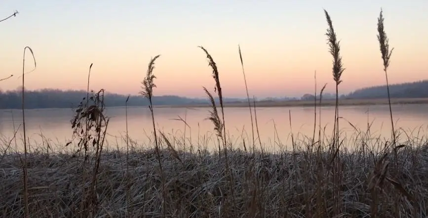 Tápiószecsői víztározó