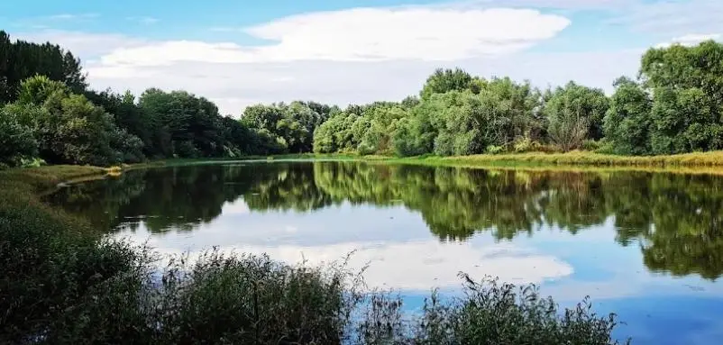 Szabolcsveresmarti keleti (Nagy-szög) holtág