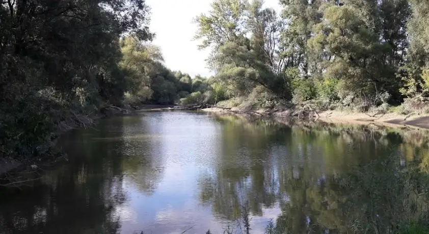 Nagybajcsi horgásztó