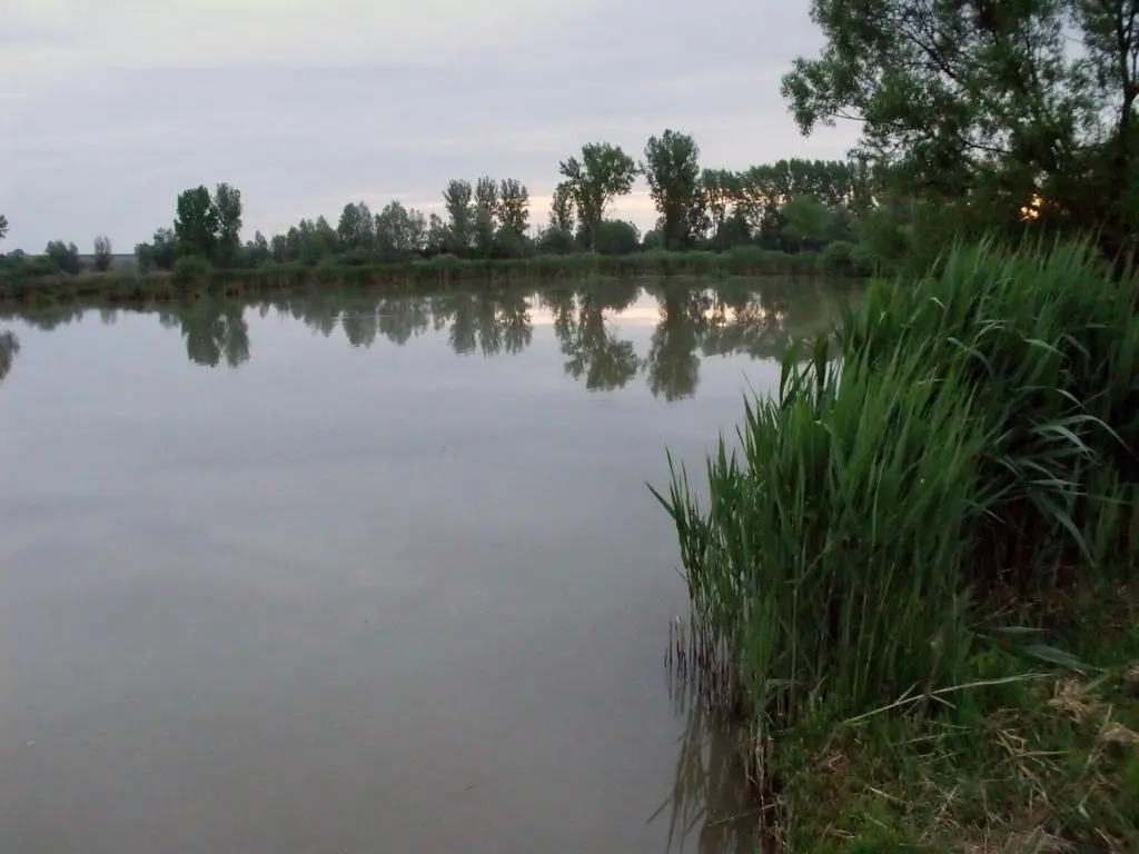 Bonyhád tőzegtavak