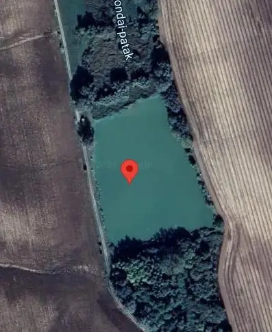 Szentkúti tó Szakcs