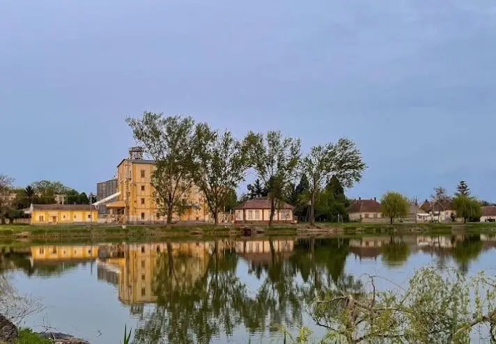 Wesselényi tó, Gyula