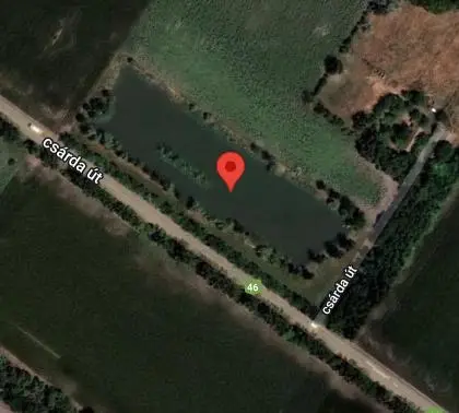 Lédig tó, Csárdaszállás