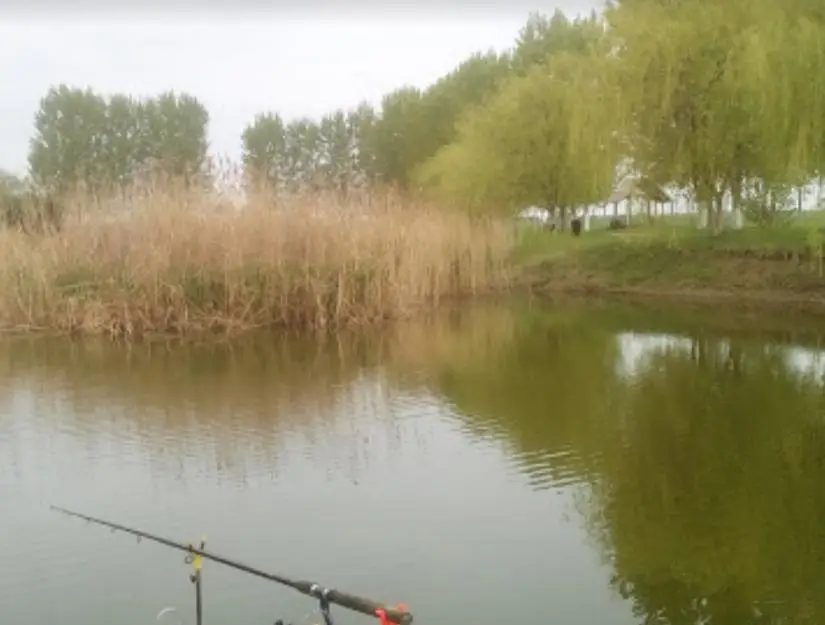 Alibi horgásztó Méhkerék