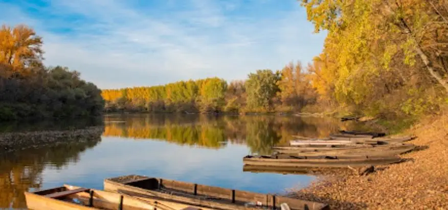 Körtvélyesi-holtág