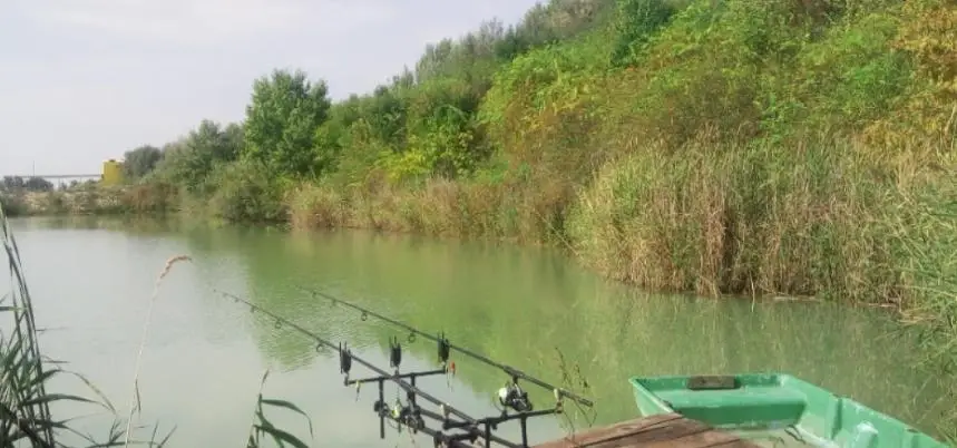 Napsugár 2. horgásztó