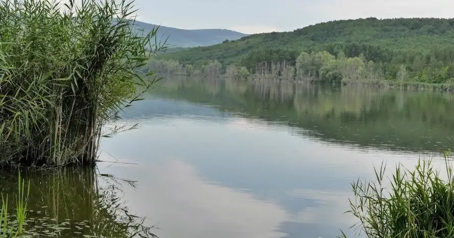 Ostorosi víztározó