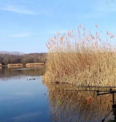 Palotási - víztározó