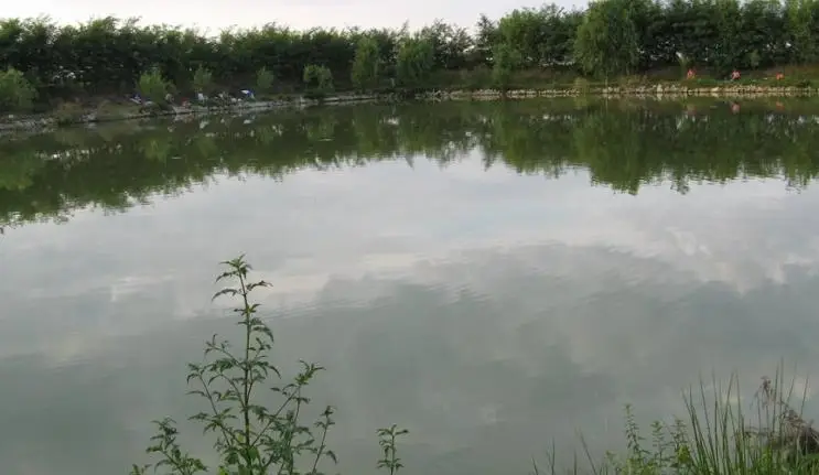 Peresztegi horgásztó