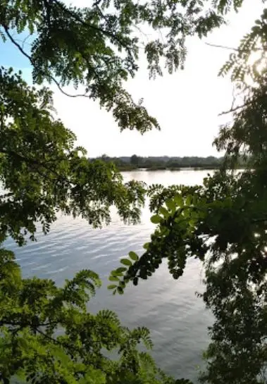 Sándorfalvi horgásztó