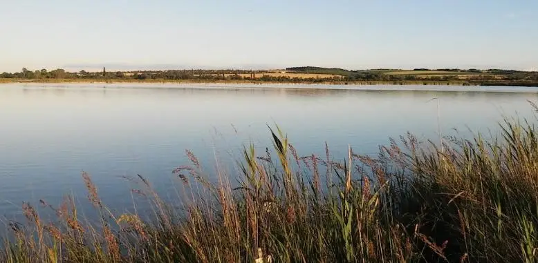 Sárszentmihályi halastó