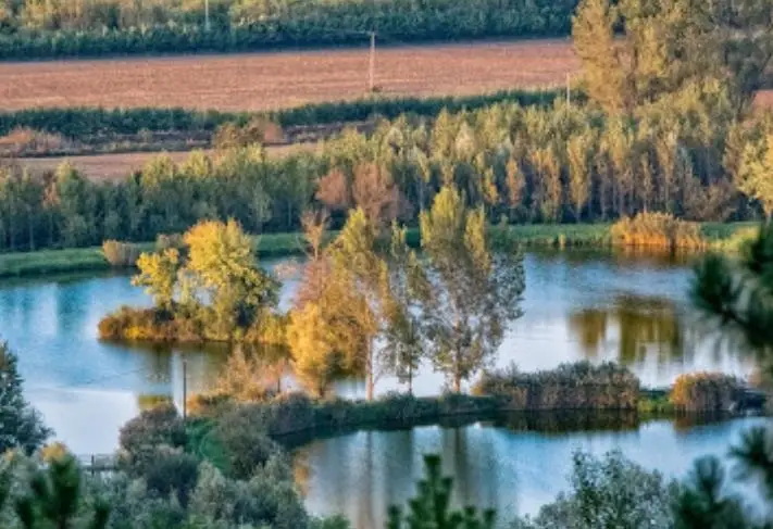 Sötétvölgyi horgásztó