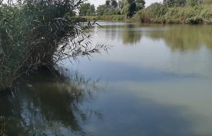 Szászberki Holt-Zagyva