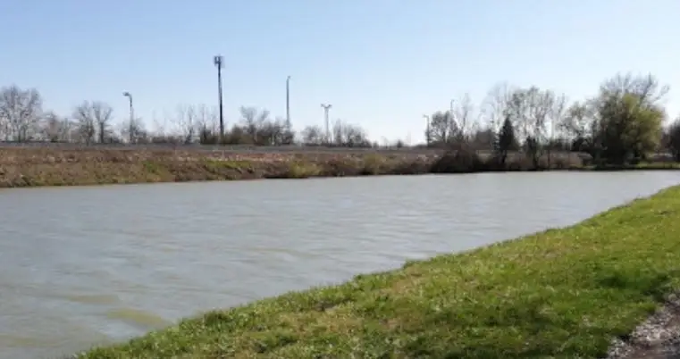 Algyői kubikgödrök (Csodatócsa)