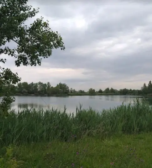 Szavanna horgásztó