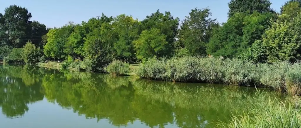 Álmoktava horgásztó