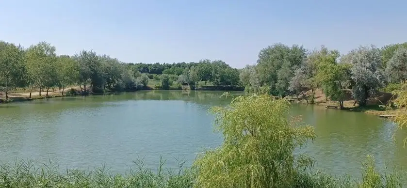 Téglagyári bánya tavak