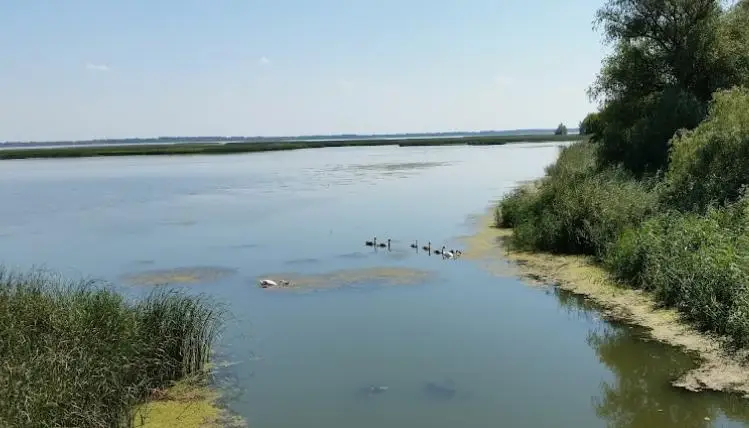 Tisza-tó (Heves megye)