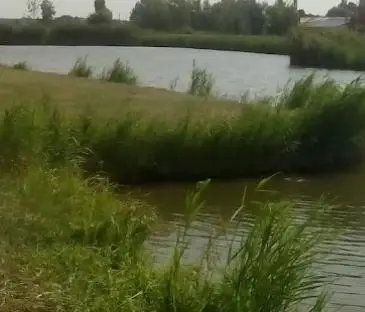 Tiszakécske Holt-Tisza