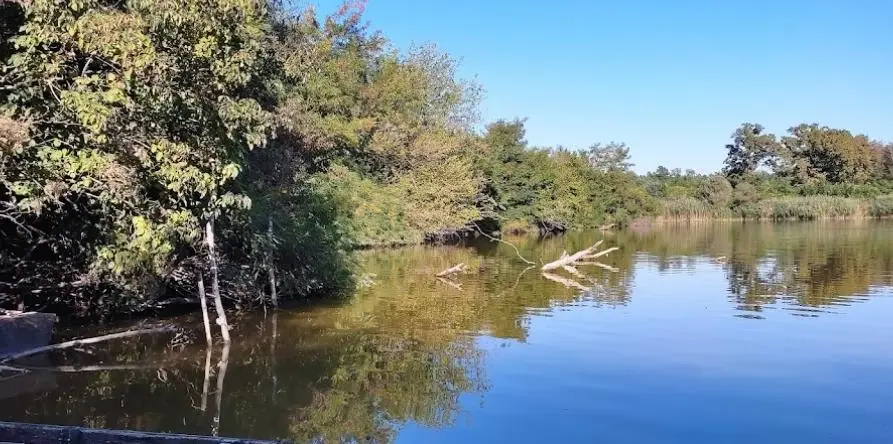 Tolnai Felső-holtág